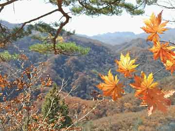 币圈最新消息:山东蓬莱海域一货船发生险情，13名船员全部转移 · 快讯-BITGET交易所官网下载